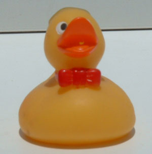 Fuddy Duck