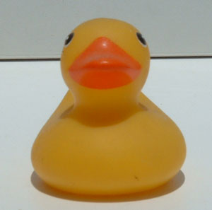 Average Duck