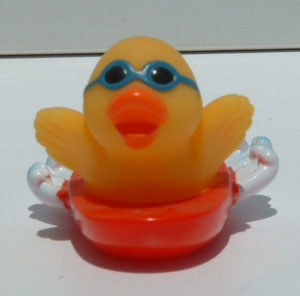 Duck Dude