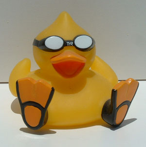 Phelps Duck